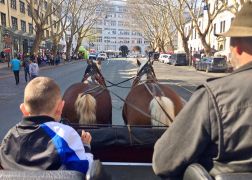 Holzmarkt In Jena 060419 0001